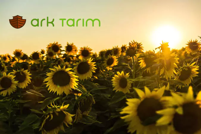 Ark Tarım Web Site Tasarımı İstanbul