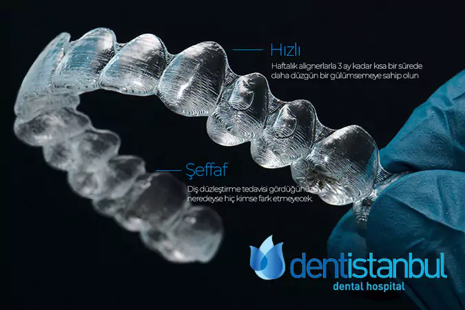 Dentistanbul Diş Hastanesi Web Sitesi -  istanbul web tasarım