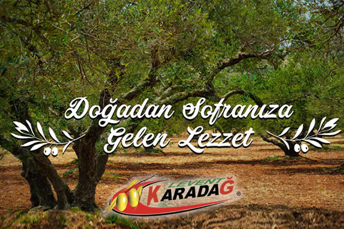 Levent Zeytincilik E-Ticaret Sitesi Ayvalık