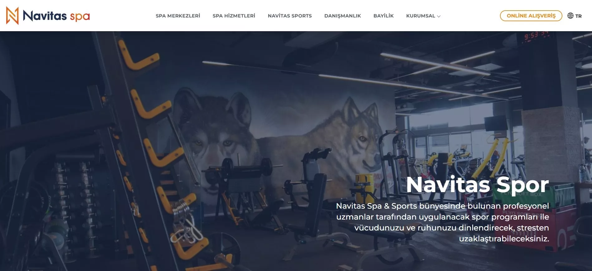 Navitas Spa Web Sitesi 3