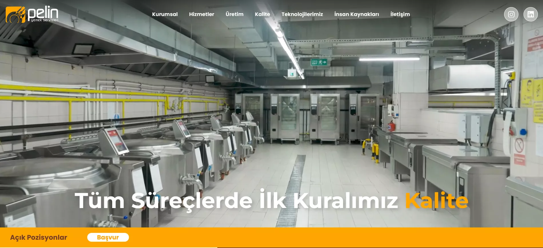 Pelin Yemek Web Sitesi