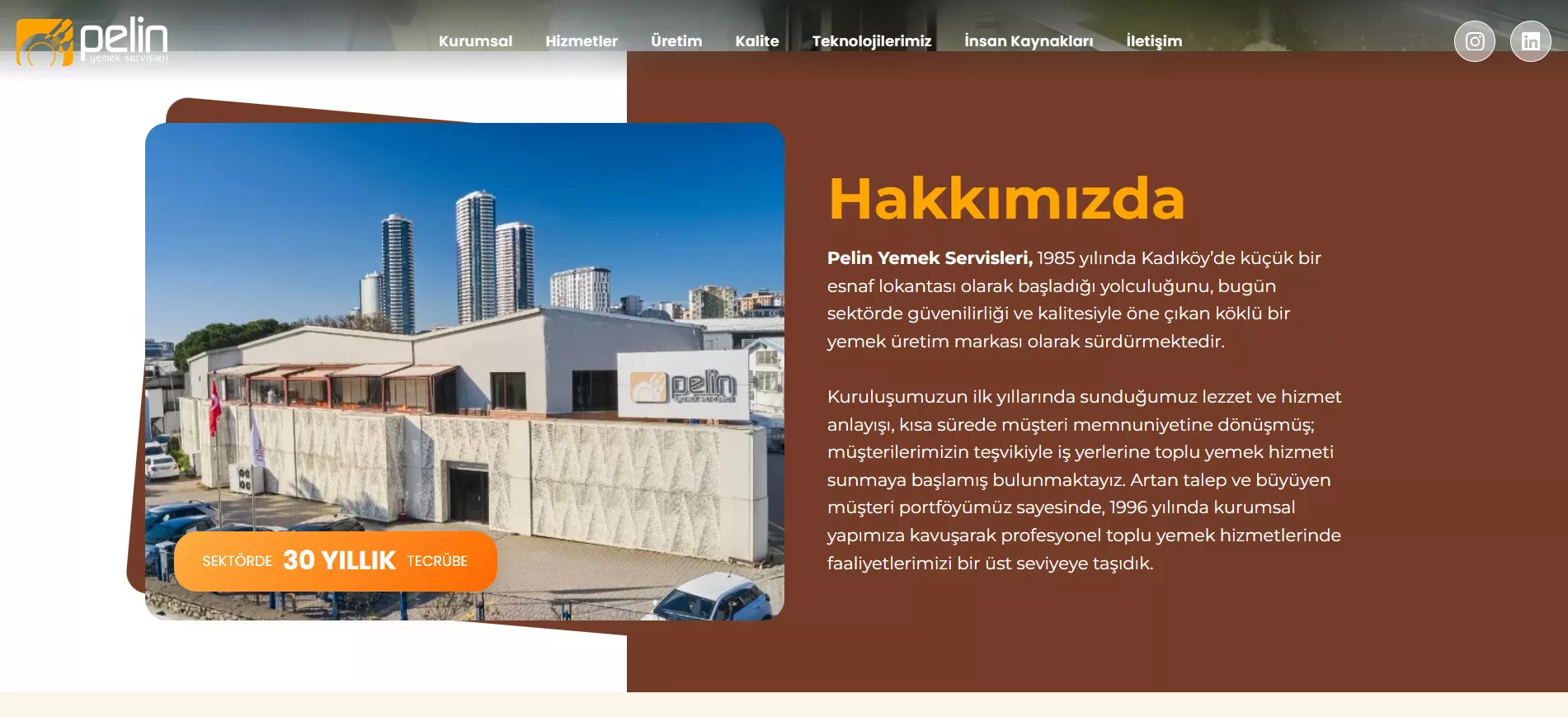 Pelin Yemek Web Sitesi