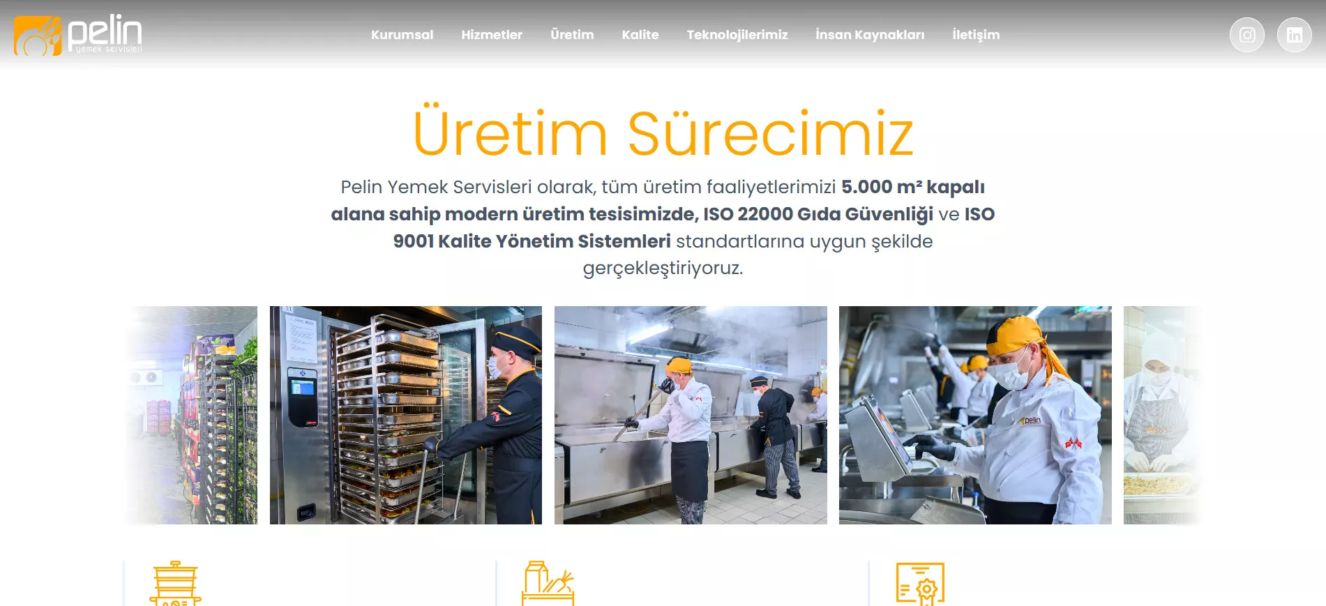 Pelin Yemek Web Sitesi